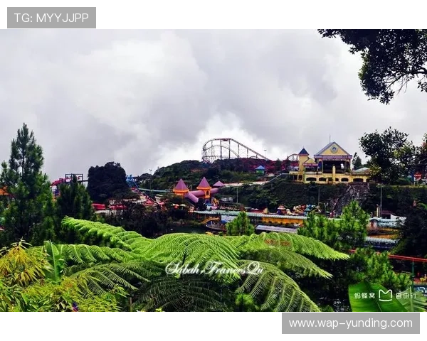 云顶是哪里的赌场探索云顶高原的地理位置与历史背景 云顶是哪里的赌场探索云顶高原的地理位置与历史背景