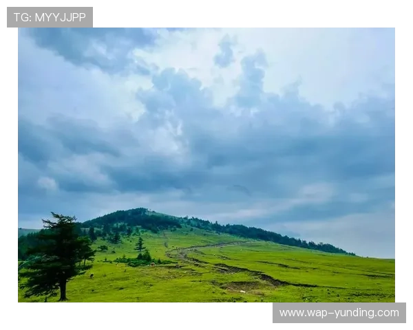 云顶山徒步攻略：路线规划、难度评估与沿途风景全景介绍