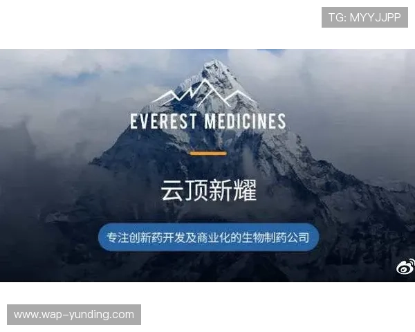 云顶新耀官网安全技术应用最新方案分析提升平台抗攻击能力保障用户数据安全 云顶新耀官网安全技术应用最新方案分析提升平台抗攻击能力保障用户数据安全